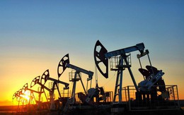 Thị trường tuần đến ngày 03/2: Giá dầu và cao su tăng mạnh