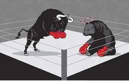 Dòng tiền suy yếu, VN-Index đảo chiều giảm điểm