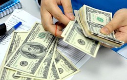 Lo ngại đằng sau việc dự trữ ngoại hối tăng lên mức kỷ lục 71 tỷ USD