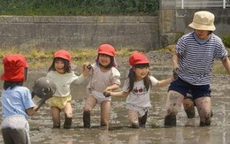 Phương pháp giáo dục mẫu giáo của Nhật Bản khiến nhiều cha mẹ Việt phải ngả mũ thán phục