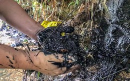 Công ty nước sạch sông Đà phát hiện đổ trộm dầu thải nhưng không báo cáo