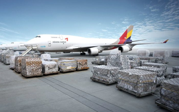 Saigon Cargo Service (SCS) chốt quyền tạm ứng cổ tức bằng tiền đợt 1/2019 tỷ lệ 30%