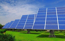 Bamboo Capital phát hành riêng lẻ 900 tỷ đồng trái phiếu chuyển đổi để đầu tư các dự án năng lượng mặt trời và bất động sản
