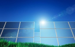 Bình Định thu hồi dự án điện mặt trời của Tập đoàn Ấn Độ