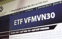 VFMVN30 ETF trở lại mua ròng cổ phiếu trong tuần 21-25/10
