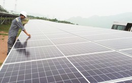 Hóng giá điện mặt trời, nhà đầu tư “mất ăn mất ngủ”
