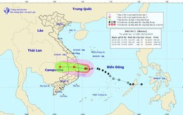 Bão số 5 giật cấp 12 cách Bình Định - Khánh Hòa khoảng 120km