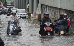 Giải cứu toàn diện rốn ngập Nguyễn Hữu Cảnh