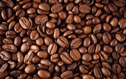 Kim ngạch xuất khẩu cà phê giảm hơn 20% trong 9 tháng đầu năm 2019