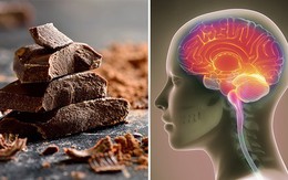 Các chuyên gia đã chỉ ra những lợi ích không ngờ của việc ăn sô cô la đối với não bộ và những cơ quan khác trong cơ thể: Ai cũng cần phải biết và thử ngay hôm nay