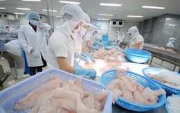 Hơn 630 doanh nghiệp được phép xuất khẩu thủy sản sang Đài Loan