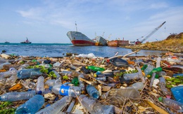 Việt Nam chỉ xếp thứ 15 về dân số, thứ 68 về diện tích nhưng xếp thứ 4 về rác thải nhựa trên toàn thế giới