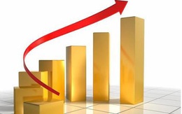 Thị trường ngày 20/11: Dầu tiếp tục giảm sâu, vàng cao nhất 1 tuần