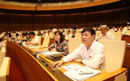 Quốc hội tán thành bổ sung thẩm quyền cho Thủ tướng và các Bộ trưởng
