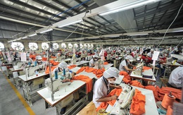 Chuyên gia Kinh tế lao động ILO: Việt Nam không cần thêm nhiều việc làm, nhưng cần thêm việc làm tốt hơn!