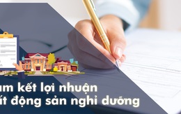 Cam kết lợi nhuận đầu tư condotel phải chăng là "chiêu" bán hàng của chủ đầu tư?