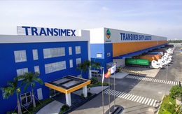 Transimex (TMS) chuẩn bị trả cổ tức bằng tiền tỷ lệ 10%