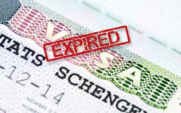 Đại sứ quán Pháp bác tin đồn thất thiệt liên quan đến việc cấp hộ chiếu cho người Việt Nam vào EU