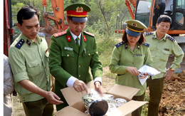 Tiêu hủy hơn 8,5 tấn bánh kẹo, đồ chơi trị giá gần 1 tỉ đồng tại Lào Cai