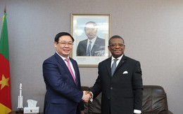 Phó Thủ tướng Vương Đình Huệ hội đàm với Thủ tướng Cameroon Joseph Dion Ngute