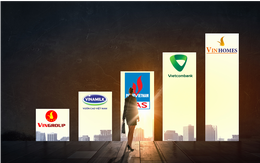 Top10 lợi nhuận 9 tháng: VinHomes và Vietcombank vượt trội, BIDV, Hòa Phát ra khỏi top dù lãi 7.000 tỷ