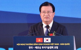 Phó Thủ tướng: Việt Nam muốn doanh nghiệp Hàn Quốc tham gia cổ phần hoá doanh nghiệp nhà nước