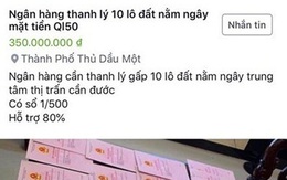 Ôm hận vì 'mắc bẫy' quả lừa bán đất ngân hàng thanh lý