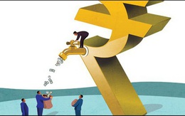 KCN Tín Nghĩa (TIP) dự kiến trả cổ tức bằng tiền 15% trong tháng 1/2020