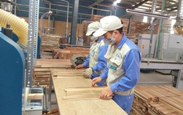Vừa mừng vừa lo khi gia tăng FDI vào ngành gỗ