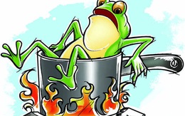 Câu chuyện "luộc ếch" và bài học nhớ đời về sự ổn định: Đừng quên rằng, cái gì cũng có giá của nó!