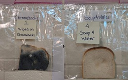 Tầm quan trọng của việc rửa tay: Bài thí nghiệm nhanh bằng bánh mì cho thấy tay chúng ta siêu bẩn như thế nào, nhìn qua cũng đủ rùng mình