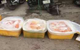 Thu giữ hơn 1 tạ trứng gà non bốc mùi hôi thối đang trên đường tiêu thụ tại Hà Nội