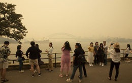 Cái giá phải trả cho biến đổi khí hậu: Đến Sydney cũng mờ mịt khói mù, không còn bầu trời trong xanh hấp dẫn du khách