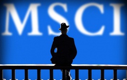 MSCI Frontier bất ngờ giảm tỷ trọng cổ phiếu Việt Nam sau đợt cơ cấu tháng 11
