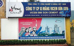 Xi măng Bỉm Sơn (BCC): Năm 2018 lãi công ty mẹ đạt 94 tỷ đồng cao gấp 28 lần cùng kỳ