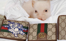 Các thương hiệu xa xỉ ra mắt một loạt các món đồ hình chú lợn để kỷ niệm dịp Tết Nguyên đán 2019