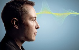 Tỷ phú Elon Musk: Tài năng, tham vọng và mất chức vì 'vạ miệng'