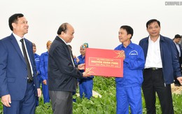'Xông đất' ngành nông nghiệp, Thủ tướng kỳ vọng vào đòn bẩy chiến lược của Việt Nam
