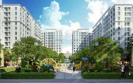 Ấn tượng thiết kế đậm phong cách nhiệt đới tại Bali Forest – FLC Tropical City Ha Long