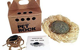 Phụ huynh đau đầu việc nuôi thú cưng của con trẻ? Đã có "thú cưng đá" Pet Rock, không cần đồ ăn, khỏi lo dọn phân: Case study bán hàng kinh điển nhất của thế kỷ 20