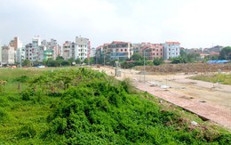 Bí thư thành ủy Hà Nội yêu cầu năm 2019 phải giải quyết triệt để các vụ việc khiếu kiện về đất đai