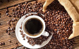 Xuất khẩu cà phê sang các thị trường chính tăng rất mạnh trong tháng đầu năm 2019