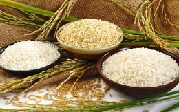 Tương lai nào cho thị trường gạo, ngô và lúa mì năm 2019?