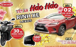 Lộ diện chủ nhân rinh xe Lexus đầu tiên của Hảo Hảo