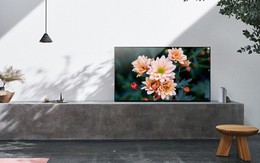 Vì sao Sony Android TV cuốn hút người Việt đến vậy?