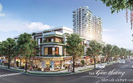 Netland có quá liều lĩnh với tham vọng đầu tư hàng loạt dự án bất động sản cao cấp?