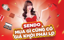 Chiến lược sản phẩm “kiềng ba chân” của Sendo “bao sân” thương mại điện tử Việt