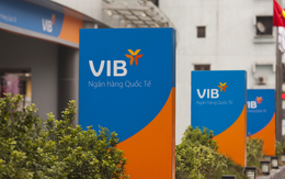 VIB thu xếp cấp tín dụng hợp vốn 780 tỷ đồng cho EVN