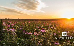 Truy xuất nguồn gốc hữu cơ – “Chìa khoá” mở cửa niềm tin người tiêu dùng