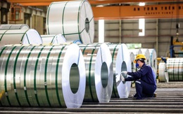 Cuộc chơi lớn của Tôn Hoa Sen